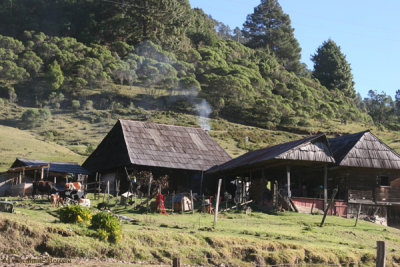 Casas del Area Rural del Municipio