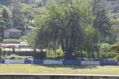 Campo de Futbol Local