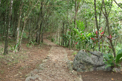 Sendero Hacia el Rio Chiyu