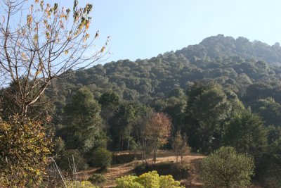 Reserva Ecoturistica en la Montaa al Pie de la Cabecera