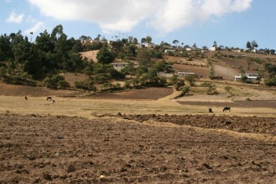 Tierras de Cultivo del Municipio