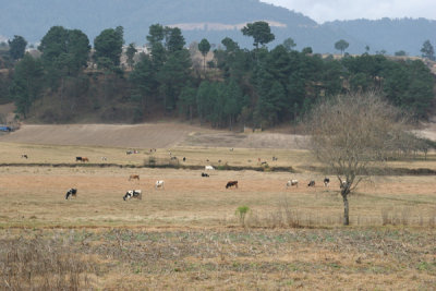 Paisaje del Area Rural del Municipio