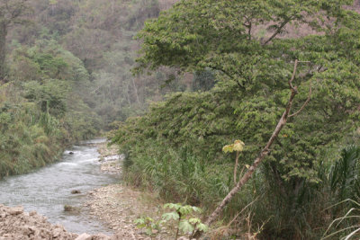 El Rio Polochic Corre Paralelo a la Ruta a la Cabecera