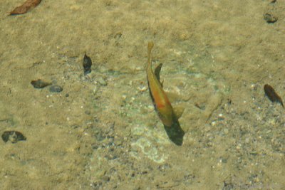 Aguas Cristalinas Caracterizan el Lugar