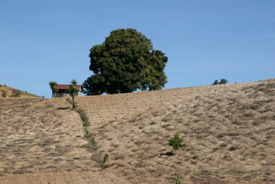 Vista de la Campia del Municipio