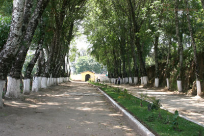 Calzada Dentro del Cementerio Local