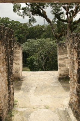 Detalle de las Construcciones