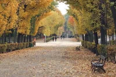 Jardines de Shnbrunn en Otoo