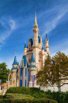 Disney Castle - Not for sale