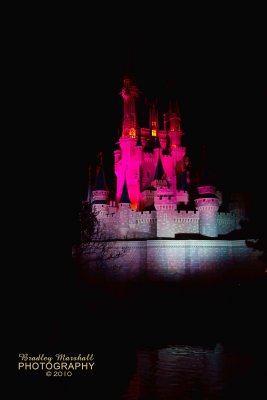 Disney Castle - Not for sale