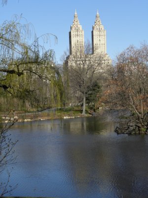 San Remo towers