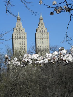 San Remo towers