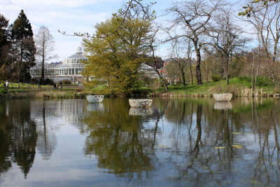Botanic garden - Le jardin botanique