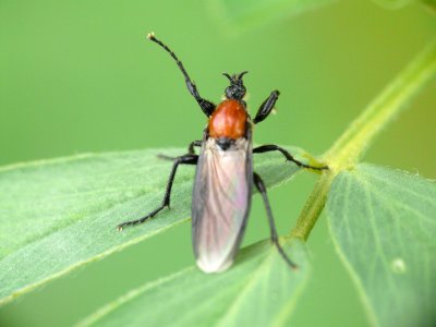 P1370132