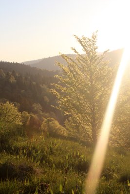 l'ambiance n'en est pas pour autant moins belle