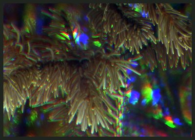 Terrestrial Pictures Through The TEC200 f/9