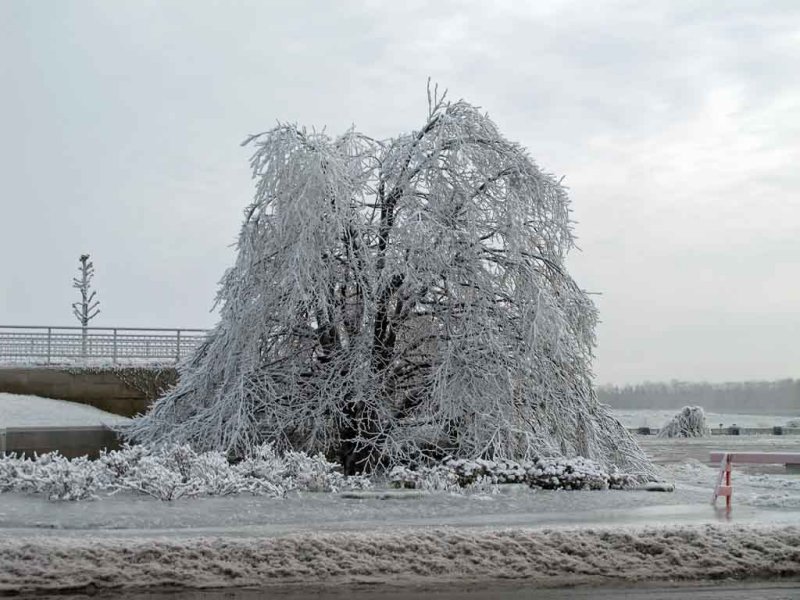 FROZEN MIST
