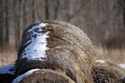 ROTTING IN THE FIELD II