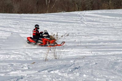 LOOKS LIKE FUN!!