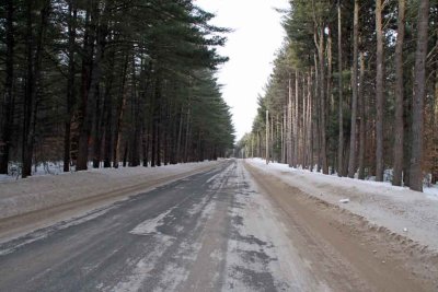 MOOSE RIVER ROAD