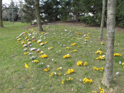 FIRST DAY OF SPRING