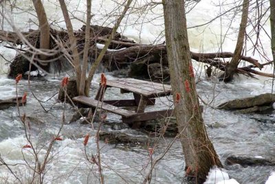 SPRING FLOODS