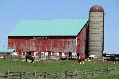 WALKERBRAE FARMS