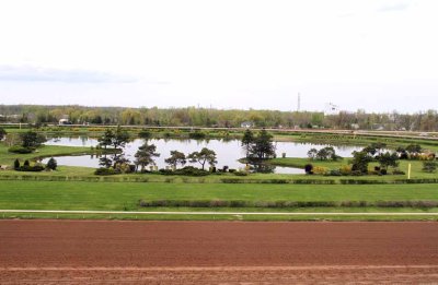 PART OF THE OUTFIELD