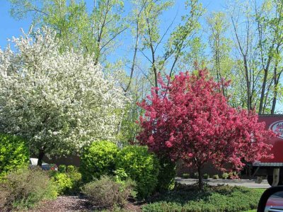 BEAUTIFUL SPRING DAY