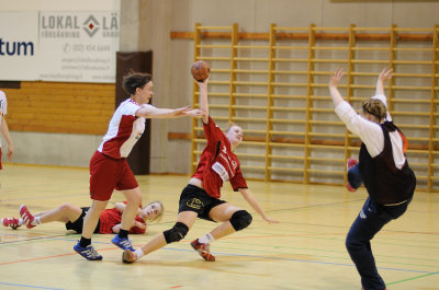 DSC_2013.jpg