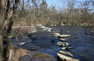 Greenway March 2010