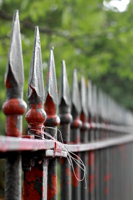 the same fence ...