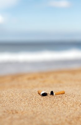 the only butts on the beach