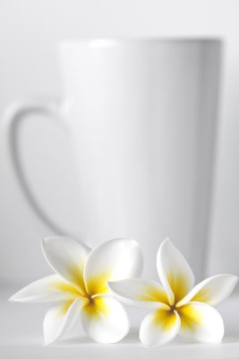 pure & simple