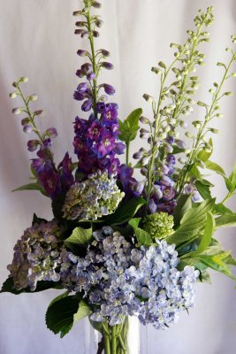 delphinium & hydrangea