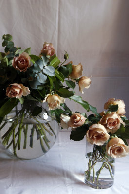 fragrant roses