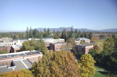 DSC_0111.jpg