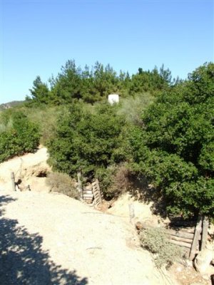 Gallipoli (110).The objective was the other side of the white memorial stones