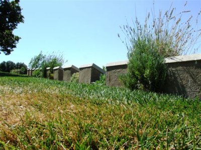 Gallipoli (55).Lighthorsemen's graves