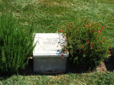 Gallipoli (63).Lighthorsemen's graves