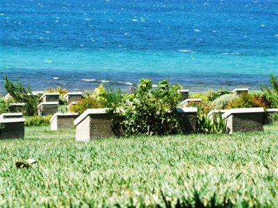 Gallipoli (64).Lighthorsemen's graves