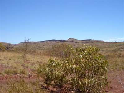 Packsaddle  area 3