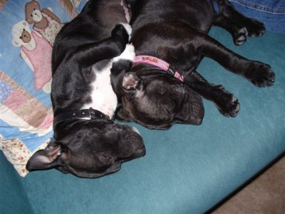 Snoring in their fav position
