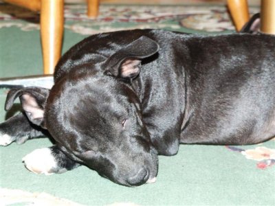 DSCF4317.JPG