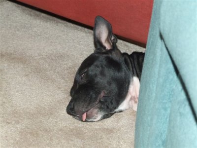 DSCF4335.JPG