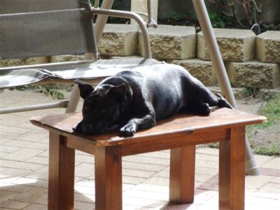 My table not yours!!!!!!!!!!!!