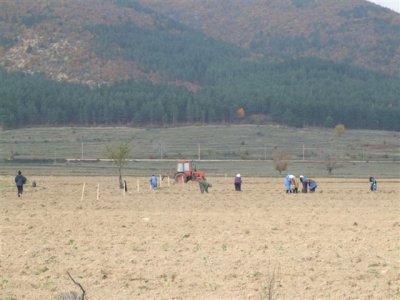 04.11.07 Road to Karolovo Potato Pickers.JPG