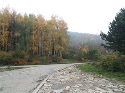 04.11.07 Road to Karolovo Autumn Colours 4.JPG