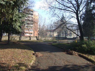 g3/03/806803/3/89502443.MDhTBNAg.jpg