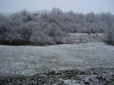 Road to Residencia after snowfall (11).JPG